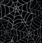 spiderweb